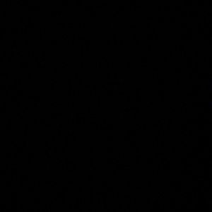 Meet your Posher, Dasanimarie